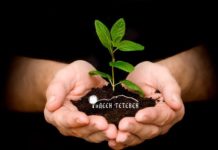 Тетевенци ще садят фиданки