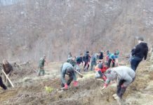 Ученици и доброволци ще се грижат за новозалесена гора