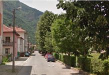 Община Тетевен: Няма да се премахват дърветата по ул. ,,Петко Страшния“