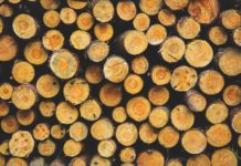 По-строги глоби за незаконната сеч в сила от 2 февруари