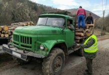 Повече от 28 000 проверки са извършили горските стражари в 40-те териториални поделения на ЮЗДП