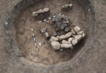 Находки, открити при строителството на АМ „Хемус“ се представят на националната изложба „Българска археология 2019“