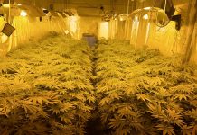 Две нарколаборатории са разкрити в гр.Летница