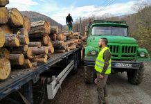 Започва тестването на нов софтуер за отчетност при транспортирането на дървесина в горите, стопанисвани от Югозападното държавно предприятие