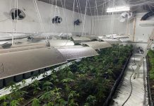 Откриха високотехнологична нарколаборатория в Черни Вит