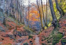 Преустановено е преминаването по екопътека „Под пръските на водопада“