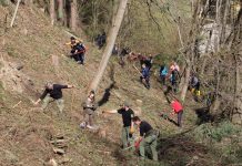 По инициатива на Община Тетевен бяха засадени над 250 фиданки над южната трибуна на стадион „Георги Бенковски“