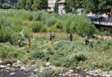Община Тетевен започна почистване на речното корито от растения и храсти