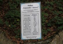 Бе поставена информационна табела с химичния състав на водата на извор „Борисова чешма“