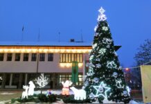 На 4 декември ще бъдат запалени светлините на коледната елха в Тетевен
