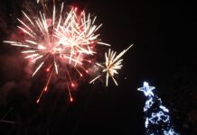 Д-р Мадлена Бояджиева запали светлините на коледната елха в Тетевен