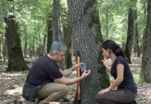 За късмета да случиш на преподавател