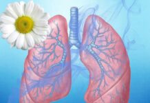 „Десетдневка на отворените врати“ за безплатни профилактични прегледи за риск от туберкулоза в Белодробна Болница – Троян