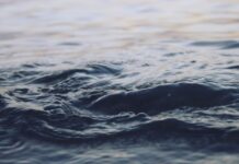 43-годишен мъж се е удавил във водите на река Бели Вит