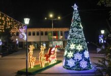 Грейнаха светлините на коледната елха в Тетевен