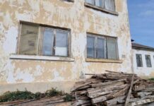 Държавата предоставя свой имот за приют за кучета в Ловеч