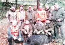 В планинските райони на ЛРС-Тетевен дивата свиня се завръща