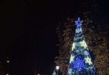 Засияха светлините на коледната елха в Тетевен