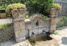 Шестнадесето издание на „Дни на планинската вода“ се проведе в село Черни Вит