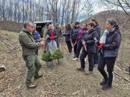 Община Тетевен с инициатива по засаждане на фиданки по случай Седмицата на гората