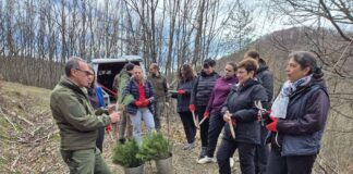 Община Тетевен с инициатива по засаждане на фиданки по случай Седмицата на гората