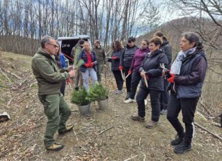 Община Тетевен с инициатива по засаждане на фиданки по случай Седмицата на гората