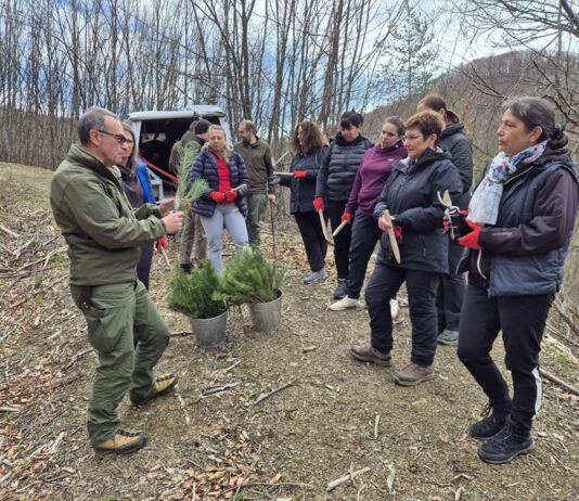 Община Тетевен с инициатива по засаждане на фиданки по случай Седмицата на гората