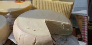 Черни Вит отново събра пазители на традициите на Празника на домашните сирена